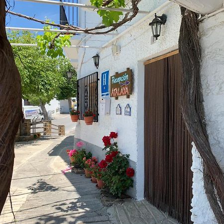Hostal Atalaya En Capileira Cb Eksteriør billede